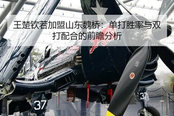 wang-chu-qin-ruo-jia-meng-shan-dong-wei-qiao-dan-da-sheng-lv-yu-shuang-da-pei-he-de-qian-zhan-fen-xi-2-345.jpg